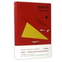 燃烧的天使 外国现当代文学小说 书籍 正版燃烧的天使(精)