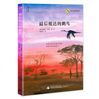 正版后抵达的鹳鸟神秘岛飞行历系列儿童文学名著小学生一二三四年级阅读课外故事书7-12岁青少年课外绘本文学书籍