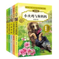 动物小说大王沈石溪精品集拼音版全5册 金丝猴与盘羊 安徽少儿