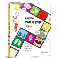 从头到脚透视身体书 启发精选 世界 绘本 神奇透视绘本 故事歌谣游戏实验手工涂鸦科普书