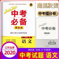 辽师金牌 2020中考必备语文 课标版 2019年全国中考试卷精选 中考总复习用书 中考语文试题初三九年级语文中考试