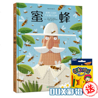 蜜蜂 获十项国际大奖 蜜蜂王国手绘百科6-12岁儿童少儿小学生昆虫科普百科全书 绘本故事图画书