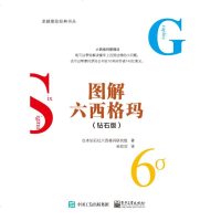 图解六西格玛(钻石版) (日)DiamondSixSigmaKenkyu-Kai(钻石社六西格玛研究组) 著 孙欣欣