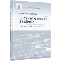 巴丹吉林沙漠的水文地质条件及地下水循环模式 王旭升 著 冶金、地质 专业科技 科学出版社