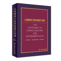 正版 人体解剖与组织胚胎学词典 高英茂 柏树令 主编 9787117274104 2019年3月参考书 人民卫生