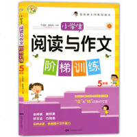 小蜜蜂 小学生阅读与作文阶梯训练 5年级/五年级 名师点拨 快速提升写作能力 中国电影出版社 小学生阶梯训练