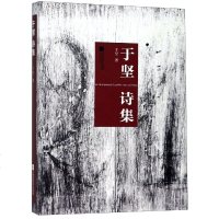于坚诗集 于坚 著 中国现当代诗歌文学 新华书店正版图书籍 江苏凤凰文艺出版社有限公司