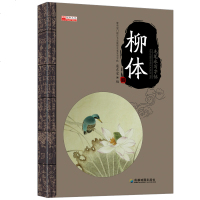 2016年新品工具书 毛笔水写字帖柳体字体练习 指定书法教程毛笔水写字帖 儿童课外练字辅助工具书