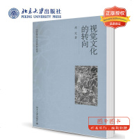 北大正版 视觉文化的转向 周宪 著 中外文化 社会科学总论 北京大学出版社