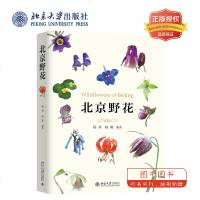 北大正版 北京野花 杨斧 杨菁 编著 著名植物学家 中国科学院王文采院士倾情 北京大学出版社