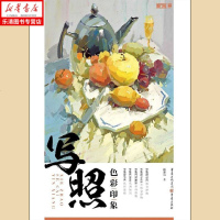 写照:色彩印象 陶黎岩 艺术 正版图书籍 重庆出版社 敲砖素描静物 敲砖系列美术素描书 素描书入自学零基础