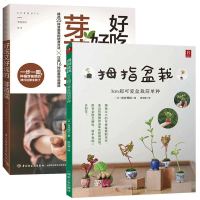 好吃又好玩的芽苗菜+拇指盆栽 2C册特色家庭菜谱 可爱盆栽简单种 室内养花 盆景书籍盆栽书籍盆景制作书养护书盆景造型