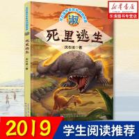 淑·死里逃生 沈石溪中华龙鸟传奇动物小说 身临其境探寻中华龙鸟传奇 6-12岁少年儿童课外阅读故事书籍 中小学生课外