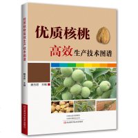 优质核桃高效生产技术图谱 核桃高效栽培书核桃周年修剪与管理 整形修剪 花果管理 病虫害防治山核桃野核桃树栽培种植技术