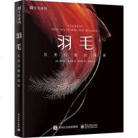 正版 羽毛 鸟类闪耀的风采 鸟类羽毛进化揭秘书籍 罗伯特·克拉克 鸟类羽毛赏析画册 鸟类羽毛功用演化科学奥秘解析书籍