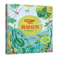 接力社官方正版 尤斯伯恩看里面低幼版揭秘自然 3-6岁经典科普立体翻翻书 十余年全球累计销量过亿册 经典启蒙认知