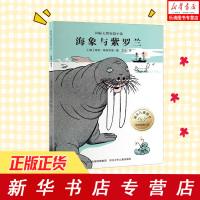 [正版 ] 大奖短篇小说——《海象与紫罗兰》(瑞士儿童图书金奖、欧洲版画大奖作品;看似 海利·斯特罗普陈俊 儿童文