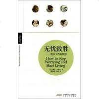 无忧致胜--快乐工作的智慧/理想图文藏书