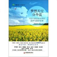 梦想天空分外蓝(100个感动全世界的追梦与圆梦故事)/雕刻自我修养读物书系 