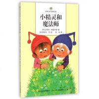 小精灵和魔法师/欧美当代经典文库 