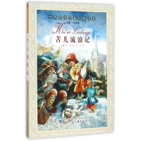 苦儿流浪记/世界文学名 ...