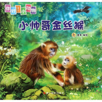 小帅哥金丝猴/你好小动物 