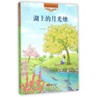 湖上的月光烛/中国当代童话金品 