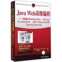 J a Web 编程——涵盖WebSockets、Spring Framework、JPA Hibernate和Sp