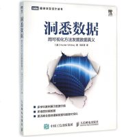 洞悉数据(用可视化方法发掘数据真义)/图灵交互设计丛书