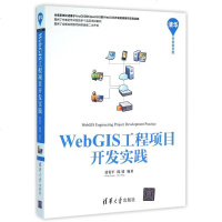 WebGIS工程项目开发实践/清华开发者书库 