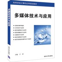 多媒体技术与应用(高等学校计算机应用规划教材) 