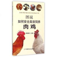 图说如何安全高效饲养肉鸡/高效饲养新技术彩色图说系列