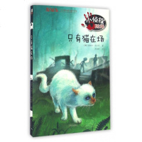 小侦探时间(只有猫在场)/方方蛋外国儿童文学馆 