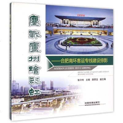 鏖战庐州绘彩虹--合肥南环客运专线建设掠影(精) 