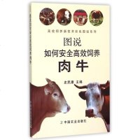 图说如何安全高效饲养肉牛/高效饲养新技术彩色图说系列