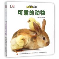 可爱的动物/大眼睛洞洞书 