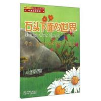 接力社官方正版 酷虫学校科普漫画系列 来自甲虫班的挑战书 昆虫科普认知书籍6-12岁儿童科普漫画书 小学生课外阅读畅