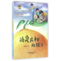 摘臭皮柑的孩子/好孩子中国原创书系 