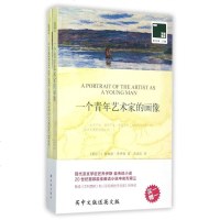 一个青年艺术家的画像(赠英文版)/双语译林壹力文库