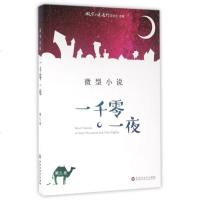 微型小说一千零一夜(第9卷) 