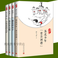 正版 我们小时候系列4本苏北少年堂吉诃德+自行车之歌+会唱歌的火炉+描花的日子 中国儿童文学 亲子读名家美文人民