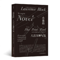 小说的八百万种写法 