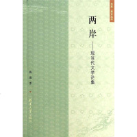 两岸--现当代文学论集/东亚思文丛书 