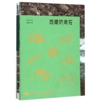 西藏的奇石(视觉特写) 博库网