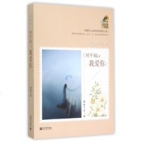 对不起我爱你 博库网