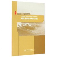 病水库的大坝与安全/水利工程设计与研究丛书 博库网