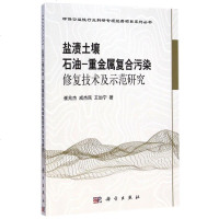 盐渍土壤石油-重金属复合污染修复技术及示范研究/环保公益
