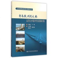 青岛胶州湾大桥运营安全风评估及保障对策/山东高速青岛胶州湾大桥建设丛书 博库网