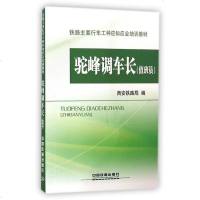 驼峰调车长(员铁路主要行车工种应知应会培训教材)