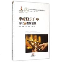 平板显示产业现状与发展前景/新兴产业和高新技术现状与前景研究丛书 博库网